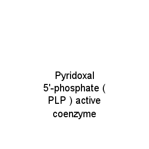 Pyridoxal 5'-phosphate ( PLP ) active coenzyme